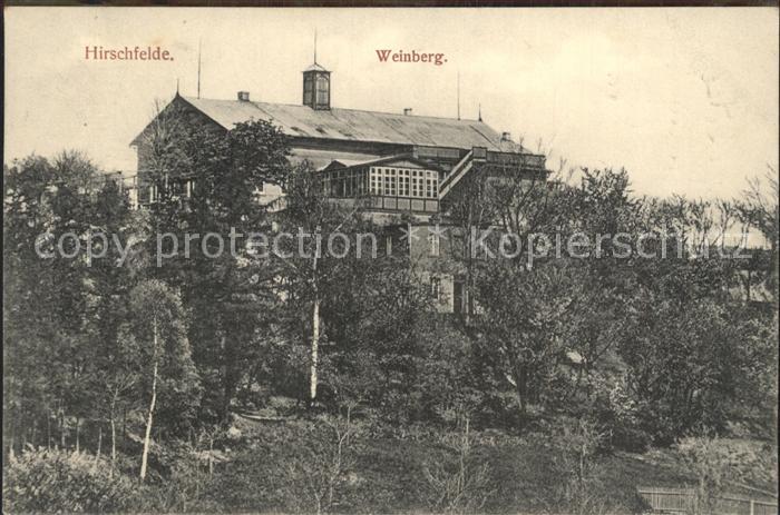 Hirschfelde Sachsen Weinberg
