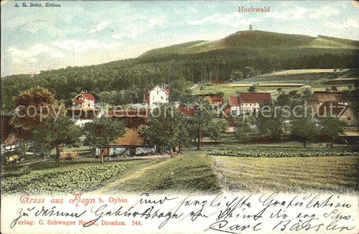 Hayn Harz Ortsansicht mit Hochwald