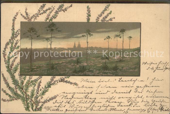 Weisser Hirsch Panorama