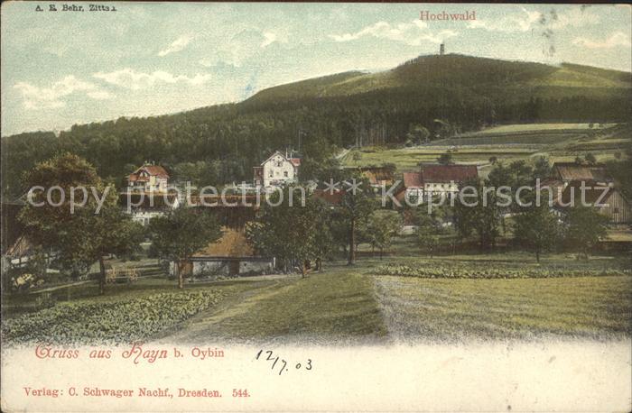 Hain Oybin mit Hochwald