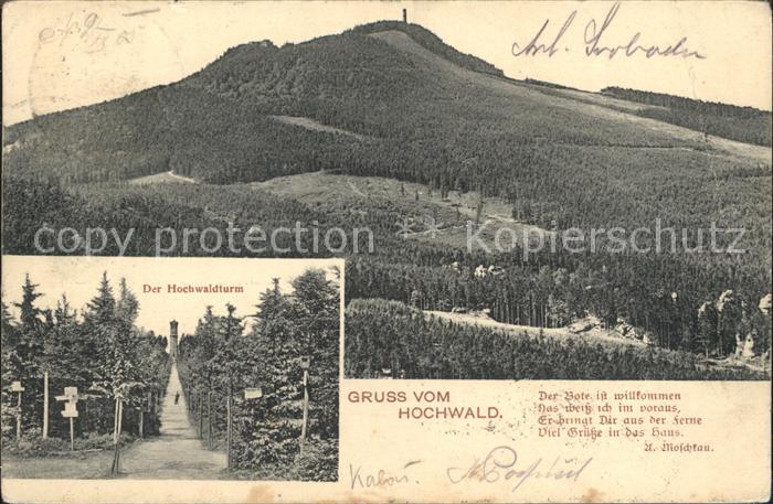 Oybin Sachsen mit Hochwald und Hochwaldturm