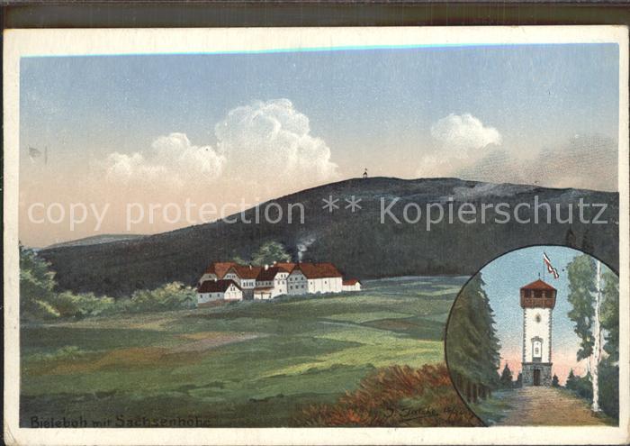 Beiersdorf Loebau Blick vom Bieleboh Aussichtsturm