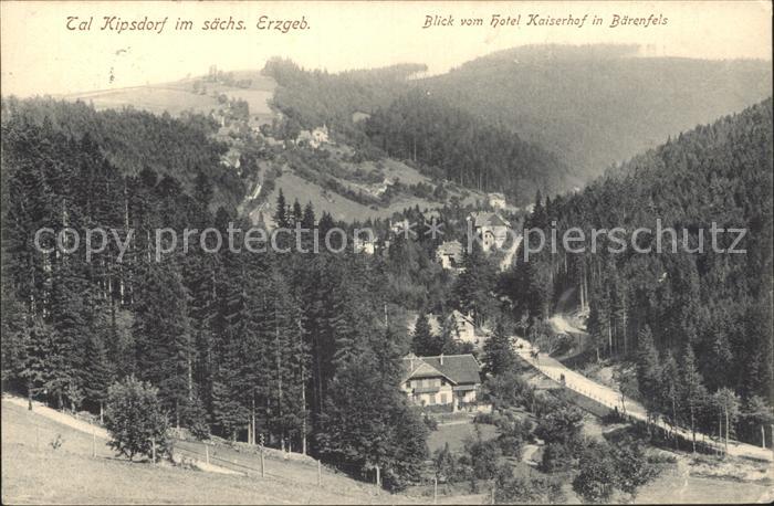 Kipsdorf Panorama Talblick Blick vom Hotel Kaiserhof in Baerenfels