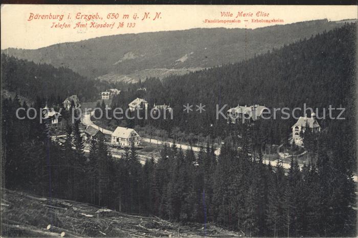Baerenburg Sachsen Panorama Villa Marie Elise Pension Erholungsheim