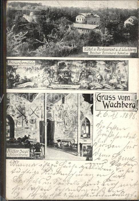 DRESDEN Elbe Wachberg Fresco- Gemaelde Rittersaal