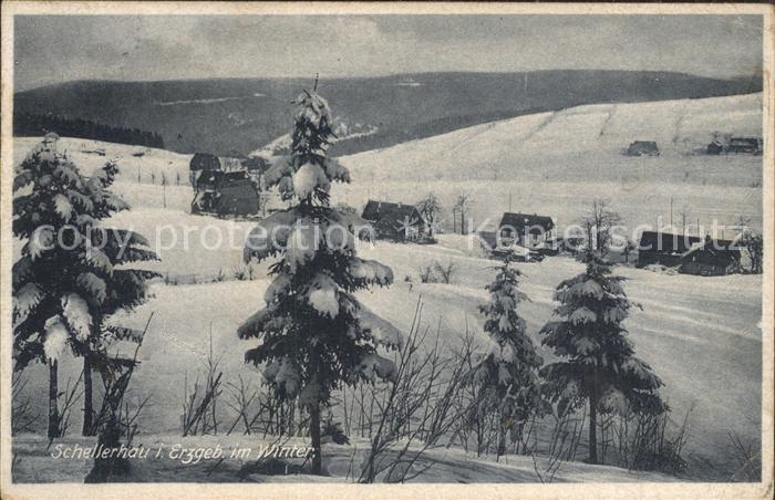Schellerhau Gasthaus Gerbirgshof Teilansicht