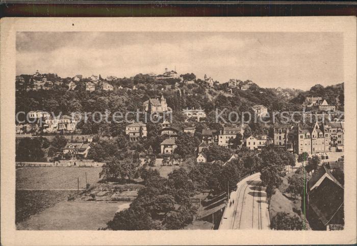 Loschwitz Stadtansicht