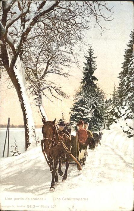 Winterthur Partie de traineau Schlittenfahrt Winterlandschaft
