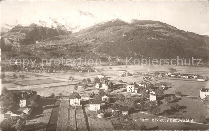 Bex VD Panorama Dent du Midi
