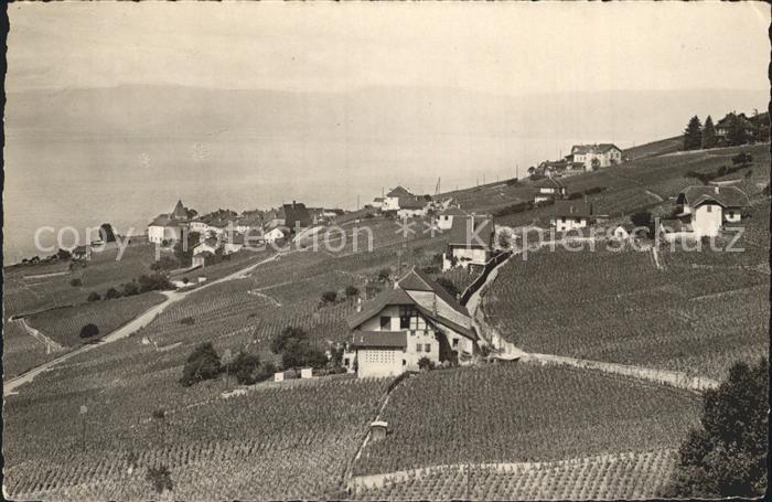 Grandvaux Lavaux Bossant Weinberge Genfersee