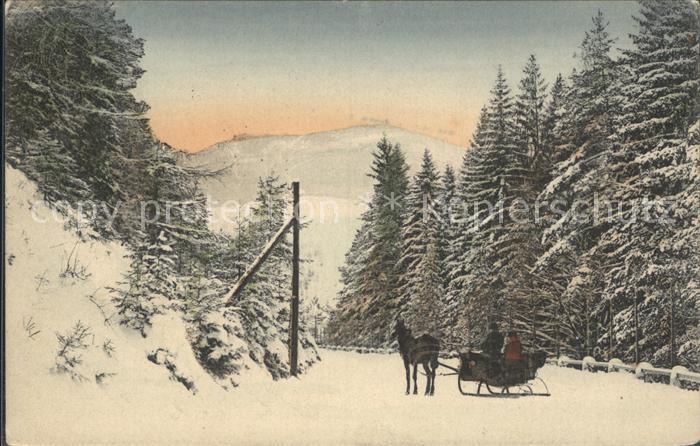 Lueckendorf Hochwald vom Forsthaus aus gesehen Zittauer Gebirge Pferdeschlitten