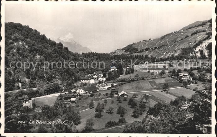 Bex VD Le Bevieux
