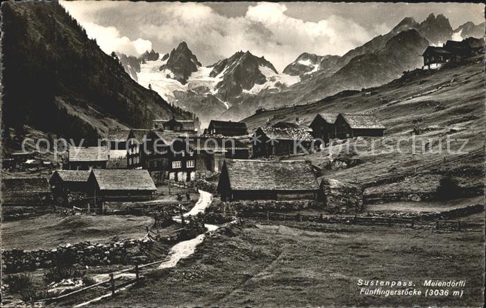 Sustenpass Meiendoerfli Fuenffingerstoecke
