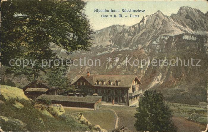 Flums SG Alpenkurhaus Saesslinwiese