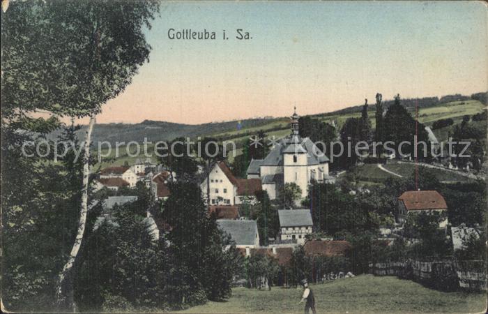 Bad Gottleuba-Berggiesshuebel Teilansicht