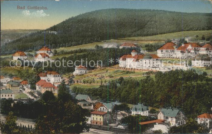 Bad Gottleuba-Berggiesshuebel Heilstaette Stadtblick