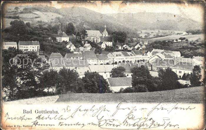 Bad Gottleuba-Berggiesshuebel Stadtblick