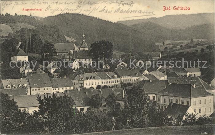 Bad Gottleuba-Berggiesshuebel mit Augustusberg