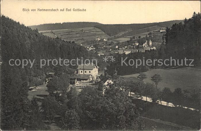 Bad Gottleuba-Berggiesshuebel Blick von Hartmannsbach