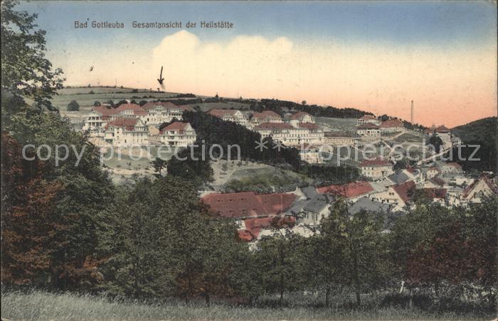 Bad Gottleuba-Berggiesshuebel Heilstaette Gesamtansicht