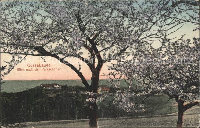 Cossebaude Blick nach der Parkschaenke