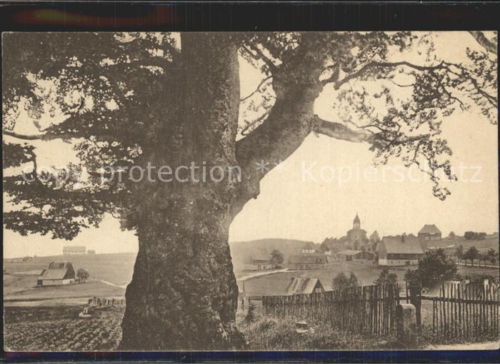 Zinnwald-Georgenfeld Grenz- Buche