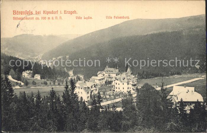 Baerenfels Erzgebirge Villa Lydia Villa Felsenburg