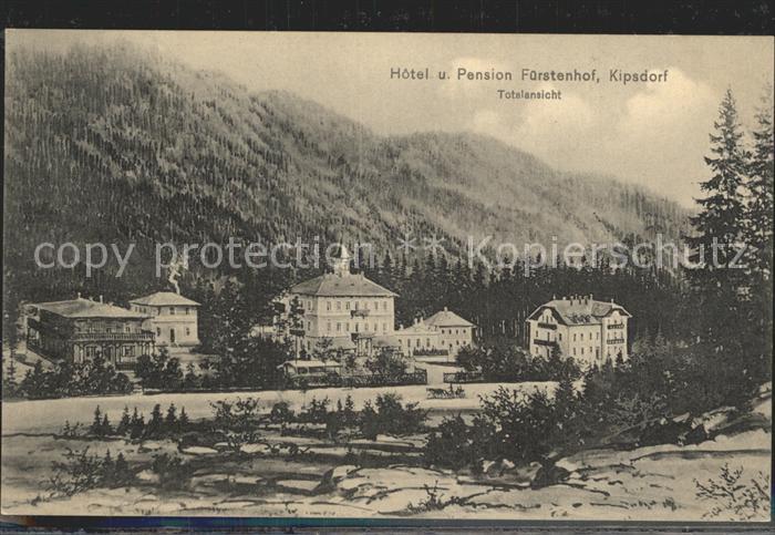 Kipsdorf Hotel und Pension Fuerstenhof