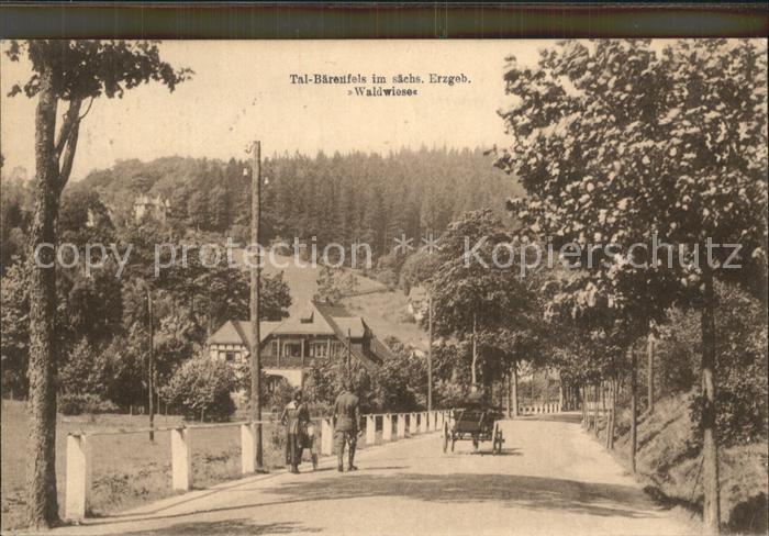 Baerenfels Erzgebirge Waldwiese