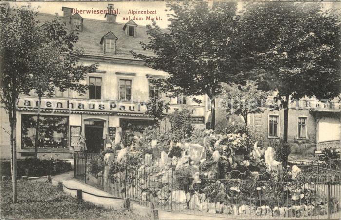 Oberwiesenthal Erzgebirge Alpinenbeet auf dem Markt Warenhaus