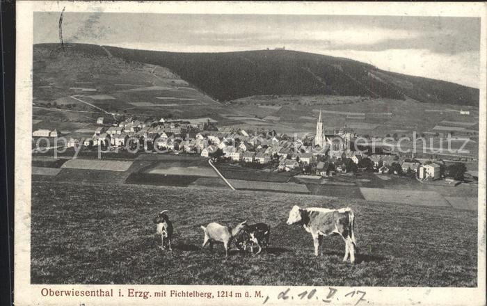 Oberwiesenthal Erzgebirge Panorama mit Fichtelberg Kuehe Ziegen