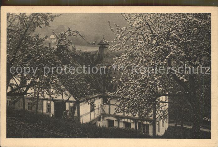 Jonsdorf Ortspartie Baumbluete Serie Saechsische Heimatschutz Postkarten