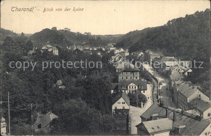 Tharandt Blick von der Ruine