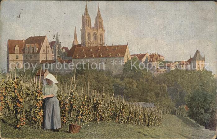 Meissen Elbe Sachsen Meissner Weinberge Domtuerme