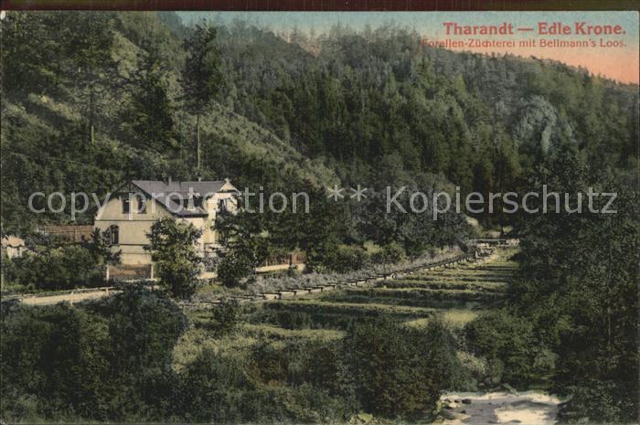 Edle Krone Forellen Zuechterei mit Bellmanns Loos