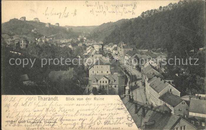 Tharandt Blick von der Ruine