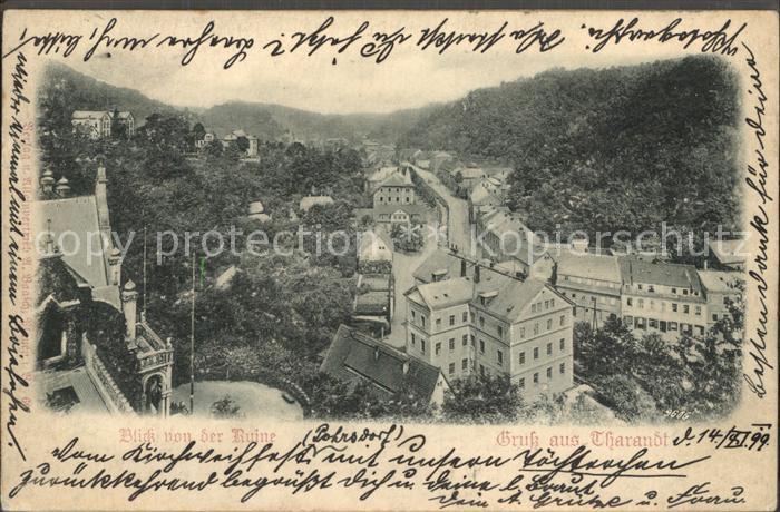 Tharandt Blick von der Ruine