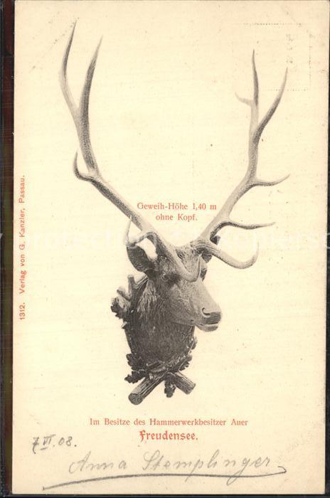 Freudensee Hirschgeweih Jagdtrophaee