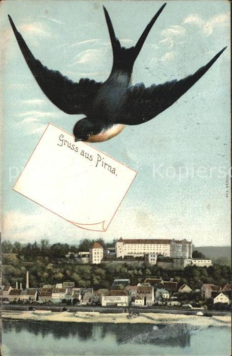 Pirna Elbe Sachsen Blick ueber die Elbe Schloss Briefschwalbe