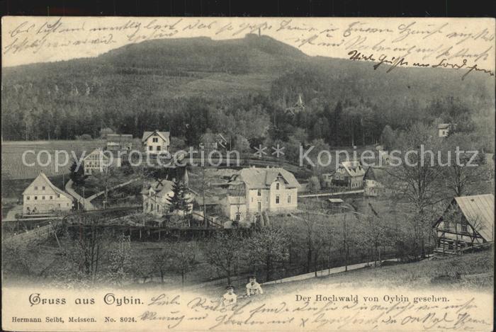 Oybin Sachsen Blick zum Hochwald Zittauer Gebirge
