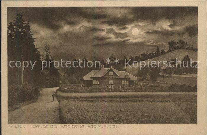 Kreischa Wilischbaude im Mondschein