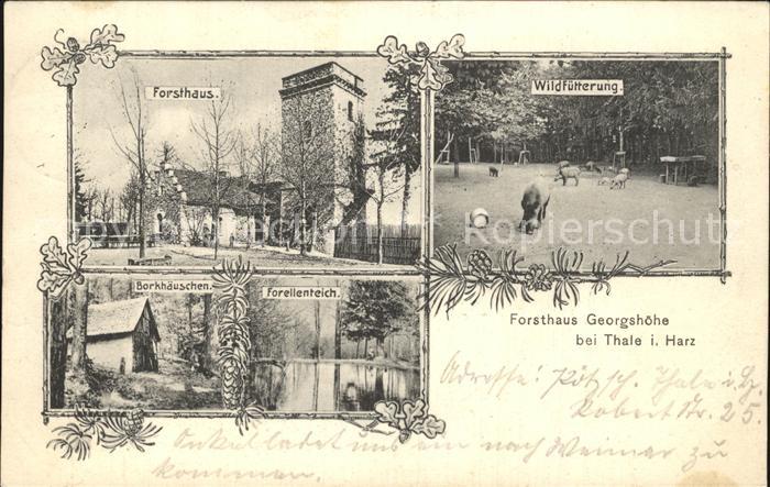 Thale Harz Forsthaus Georgshoehe Borkhaeuschen Wildfuetterung