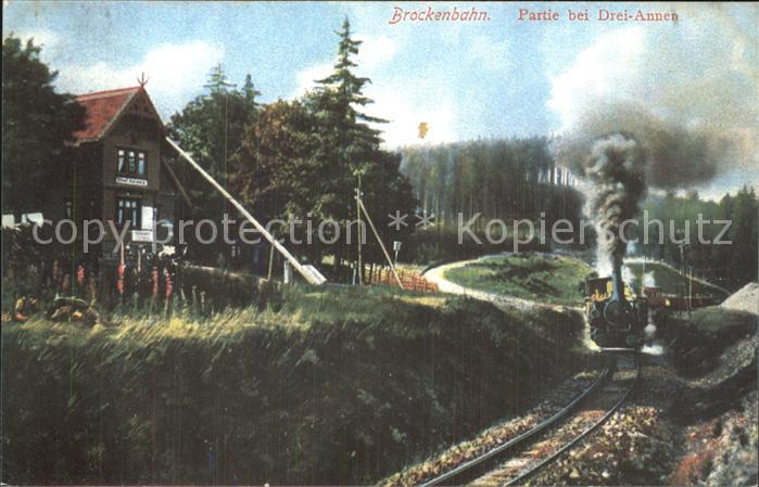 Brockenbahn Partie bei Drei Annen Dampflok