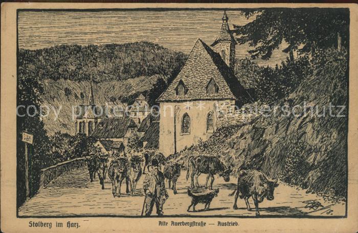 Stolberg Harz Alte Auerbergstrasse Austrieb