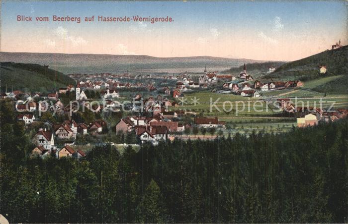 Wernigerode Harz Blick vom Beerberg auf Hasserode Wernigerode