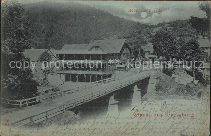 Treseburg Harz Hotel zur Forelle