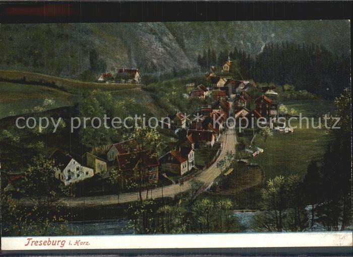 Treseburg Harz Ortsansicht