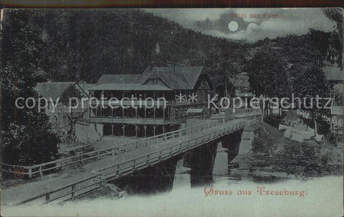 Treseburg Harz Hotel zur Forelle Mondschein