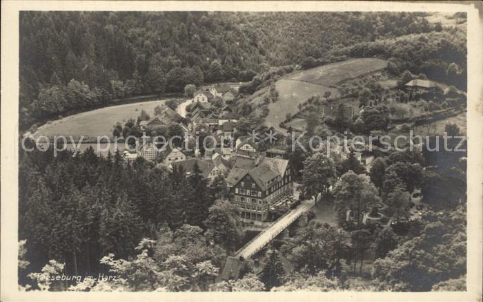 Treseburg Harz Ortsansicht