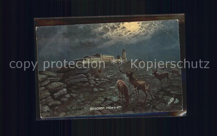 Brocken Harz Brockenhaus Teufelskanzel Hirsch Mondschein